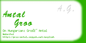 antal groo business card